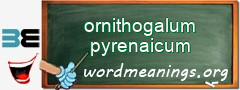 WordMeaning blackboard for ornithogalum pyrenaicum